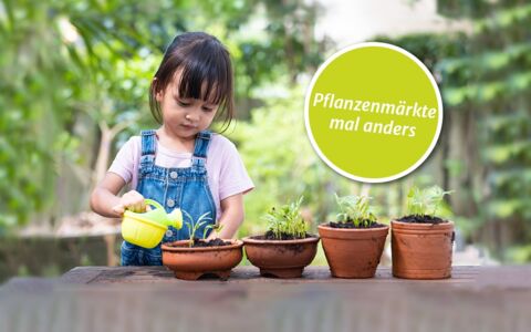 Ein Mee(h)r an Pflanzen