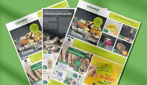 Aktuelle Angebote im Dezember 2025