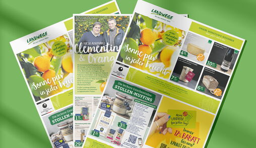 Aktuelle Angebote im November 2025