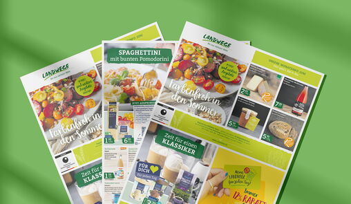 Aktuelle Angebote im Juni 2025