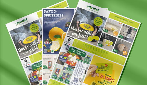 Aktuelle Angebote im Januar 2026