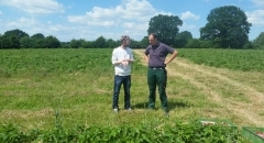 Menschen auf Feld