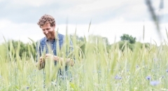 Mann in Feld