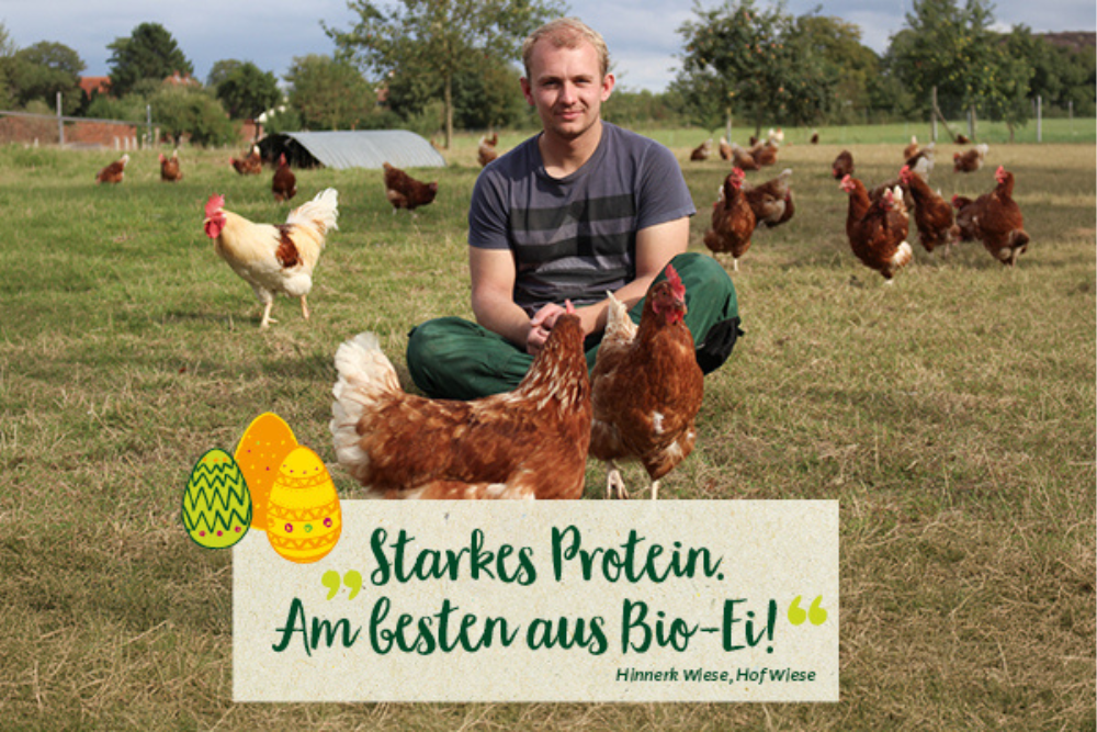 Hinnerk Wiese, Jungbauer, hockt auf einer Weide umringt von seinen Hünern